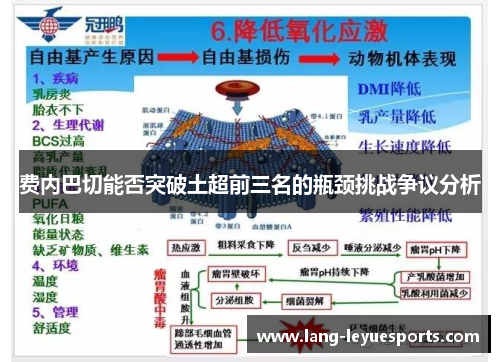 费内巴切能否突破土超前三名的瓶颈挑战争议分析