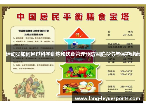 运动员如何通过科学训练和饮食管理预防肾脏损伤与保护健康
